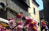 Lazio a jižní Toskánsko, kraj Etrusků, překrásných zahrad, květinových slavností, románských katedrál a vína - Itálie - Lazio - Viterbo, slavnosti květin, krása květů jako kontrast ke strohosti kamene