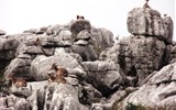 Andalusie, památky, přírodní parky a Sierra Nevada 2018 - Španělsko - Andalusie - překvapivé setkání v přírodním parku El Torcal