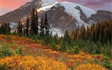 Národní parky a zahrady - Kanada - Kanada - Národní park Mount-Rainier