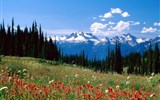 Národní parky a zahrady - Kanada - Kanada - Národní park Revelstoke