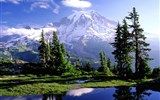 Národní parky a zahrady - Kanada - Kanada - NP Mount Rainier