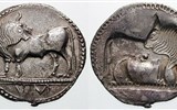 Sibari - Itálie - Kalábrie - Sibari, mince ze Sibari, 580-810 př.n.l.