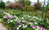 Zahrada Giverny - Francie - Normandie - Giverny, Monetovy zahrady Clos Normand
