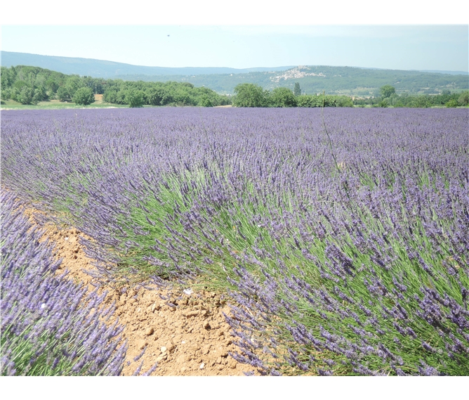 Provence a krásy Azurového pobřeží letecky 2020 - Francie - Provence - kraj voní levandulí