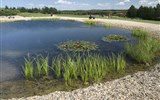 Kromlau, Bad Muskau a Nochten, zahradní ráj 2020 - Německo - Nochten - Findlingspark, 20 ha krajinářské zahrady