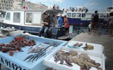 Slunná Marseille a národní park Callanques 2020 - Francie - Provence - Marseilles, rybí trh