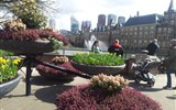 Haag - Holandsko - Haag - nábřeží plné květů