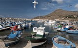 Egadské ostrovy - Itálie - Sicílie - Egadské ostrovy a jejich přístavy plné rybářských člunů (Wiki-Markos90)