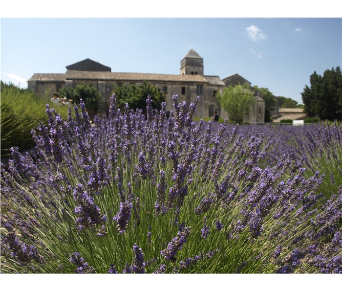 Provence s vůní levandule a koupáním letecky - Francie - Provence - St.Paul de Mausolée, jak lehce se vcítíš do Goghových obrazů
