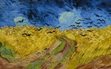 Příroda, památky UNESCO a tradice zemí Beneluxu - Holandsko - Amsterdam - van Goghovo museum, Obilné pole s vránami, 1890