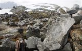 Dalsnibba - Norsko - Dalsnibba, plochý vrchol tvoří ruly a migmatity