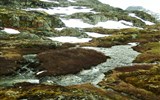 Norsko, zlatá cesta severu letecky 2020 - Norsko - mezi Dalsnibbou a Geirangerem, drsná krajina s nízkou sporou vegetací