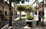 Madeira, ostrov věčného jara a festival květů 2018 - Madeira - Funchal, vnitřní nádvoří (patio) tržnice Mercado dos Lavradores