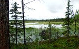 Velký okruh Norskem, Lofoty a Vesteråly letecky - Norsko - NP Hamra zabířá plochu 1.383 ha