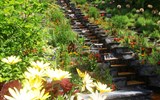 Mainau - Německo - Mainau - květinové vodní schodiště