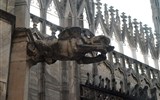 Duomo di Milano - Itálie - Milán - dóm, jeden z chrličů na střeše, celkem je jich tu 155
