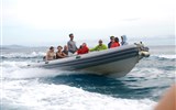 Golfo de Orosei - Itálie - Sardinie - čluny se řítí po hladině Golfo de Orosei