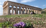 Segesta - Itálie - Sicílie - Segesta, chrám postaven na starším posvátném místě a jako na všech řeckých posvátných místech zde hojně roste mandragora