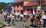 Jízda králů - Česká republika - Slovácko - Vlčnov, Jízda králů zde má již více než 200 let starou tradici