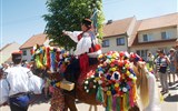 Jízda králů - Česká republika - Slovácko - Vlčnov, Jízda králů, součástí slavností jsou i jezdci s kasičkami na noze, kteří za vykřikování humorných sloganů vybírají příspěvky
