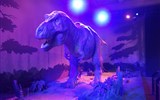 Vánoční Londýn - město historie - Anglie - Londýn - Britské muzeum, sugestivní model Tyranosaura na nočním lovu se pohybuje