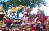 Madeira, ostrov věčného jara a festival květů 2019 - Portugalsko - Madeira - květinové slavnosti, účastní se celé rodiny, včetně těch nejmenších