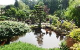 Do Českého koutku a za neznámou krásou Sudet 2020 - Polsko - Jarkow - japonská zahrada, získala i ocenění japonského velvyslanectví