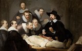Haag - Holandsko - Haag - galerie Mauritzhuis, Rembrandt van Rijn, Anatomie doktora Tulpa, kol 1632