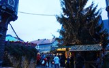 Advent v pohoří Harz s vláčkem a památky UNESCO 2020 - Německo - Harz - Wernigerode,  vánoční strom střeží pohodu adventu