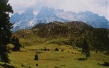 Zahrada Dolomit 2020 - Itálie, Dolomity, Monte Cristallo