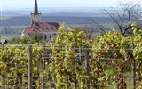 zájezdy v době státních svátků Česká republika - Česká republika - kolem Znojma jsou rozsáhlé vinice