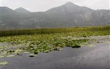 Černá Hora, národní parky a moře, privátní domy 2020 - Černá Hora - Skadarské jezero