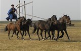 Maďarské slavnosti během roku - přehled - Maďarsko -  NP Hortobágy -  Kochova pětka, ukázka vrcholného jezdeckého umění maďarských pastevců - čikošů