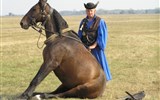 Maďarské slavnosti během roku - přehled - Maďarsko, NP Hortobágy, drezura koní